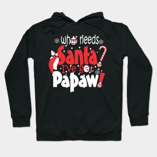 Santa Papaw Ugly Christmas Sweater Gifts For Family Hoodie